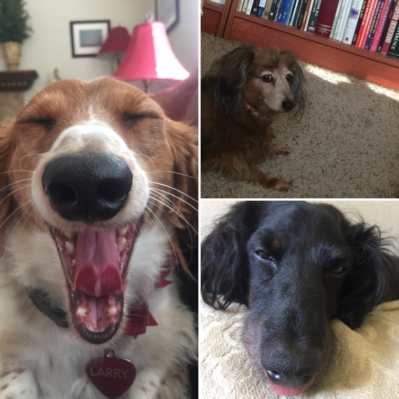 Tag me! I'm always looking! 😎 - Picture 6 of 6